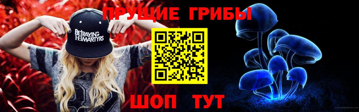Псилоцибиновые грибы Cubensis Стрежевой